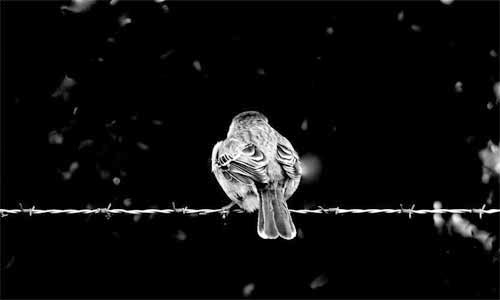 Perche Le Persone Sono Indifferenti Angolo Della Psicologia