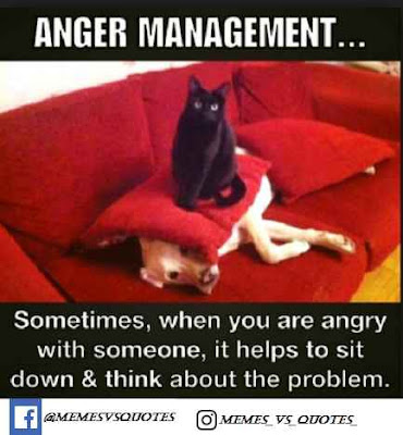 Best mad meme, anger memes Anger management