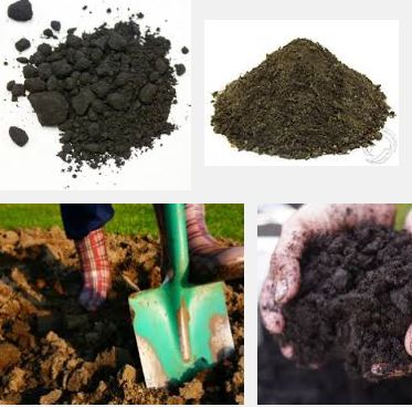  Humus soil conditioning