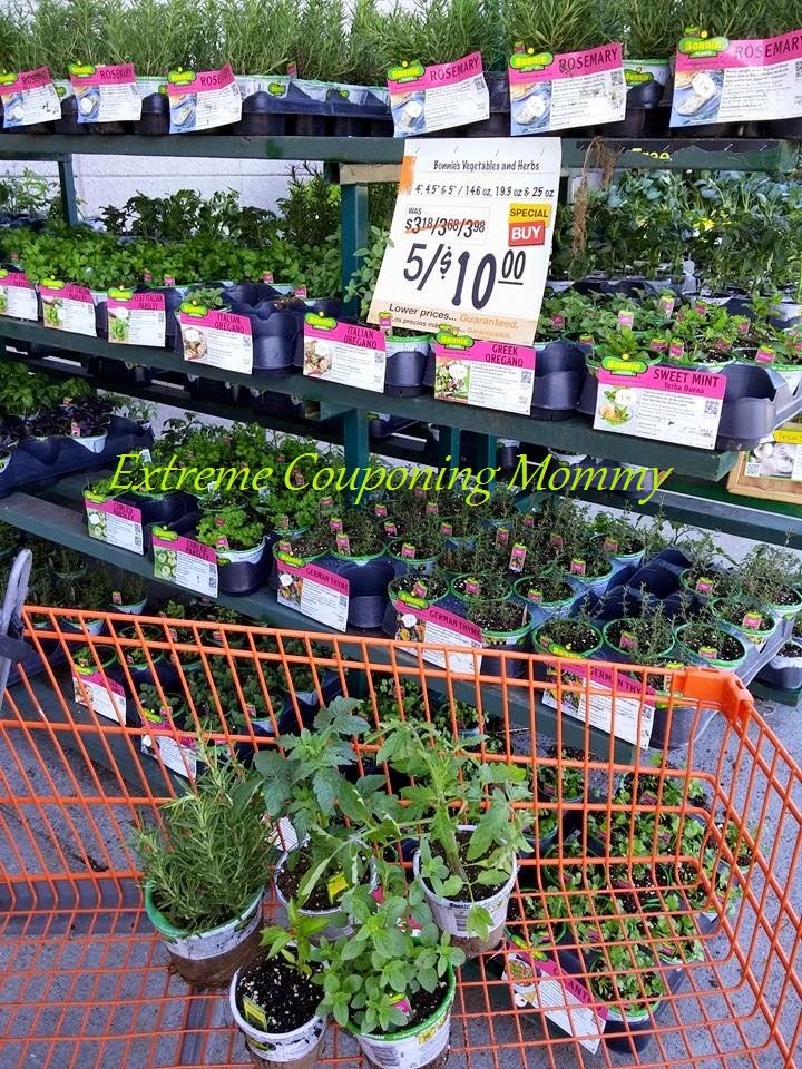 Extreme Couponing Mommy Home Depot Garden Club & HOT Sales