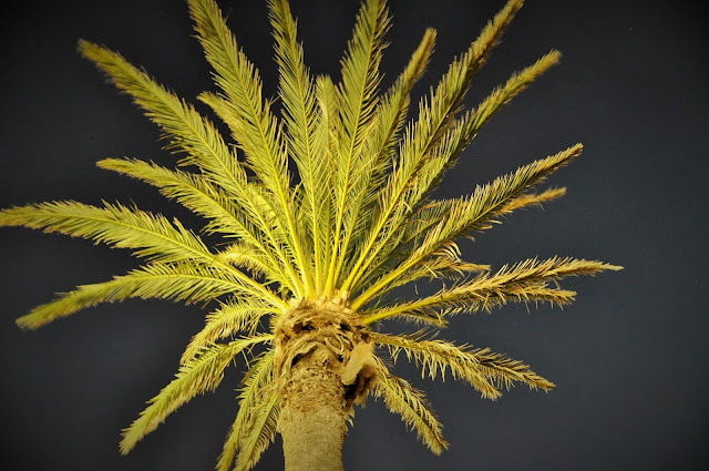 _DSC0488%2B%25282%2529.JPG