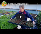 Godney Aquaponics hits social media