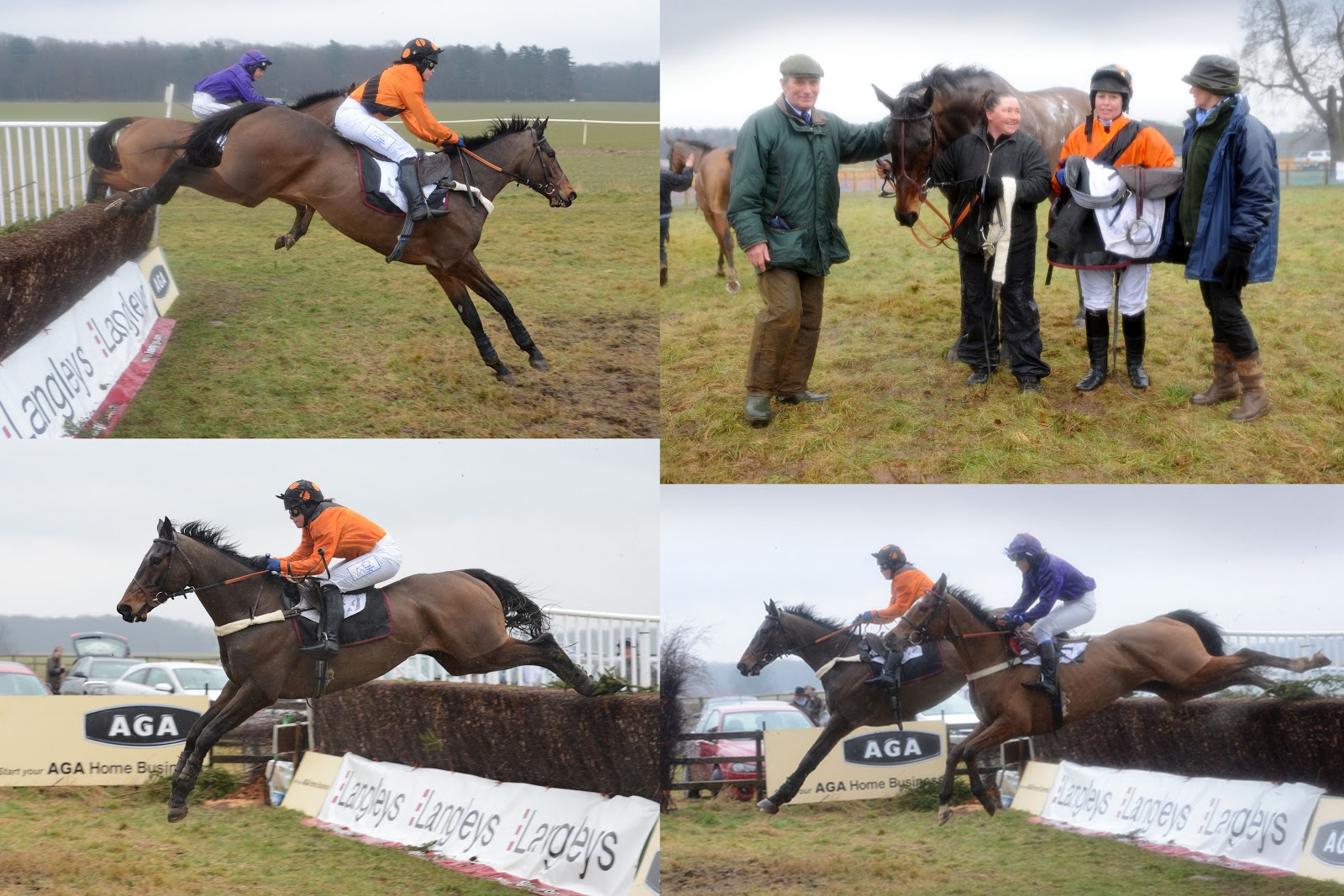 Funny Horse Jockey Names Race Night funny-horse-jockey-names-race-night