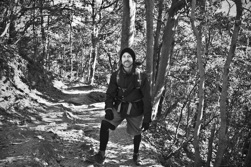 Mattias Westfalk A Walk In The Woods