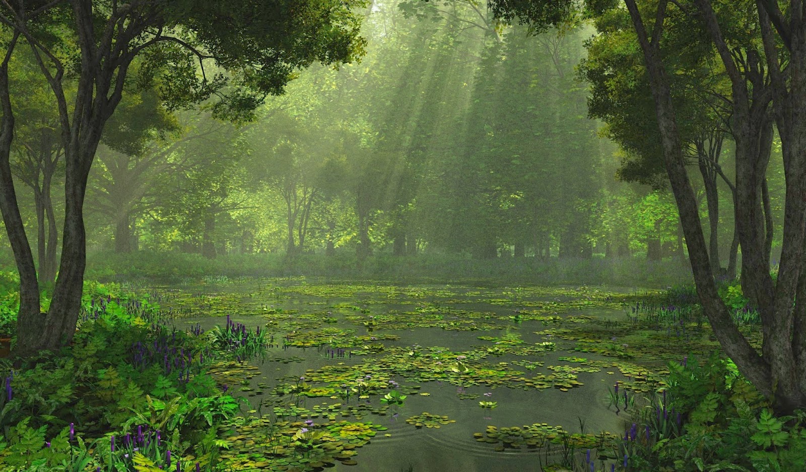 Beautiful House Images With Nature Beautiful House Images With Nature