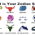 Your Zodiac Sign Tells A Lot Surprising About Yourself!