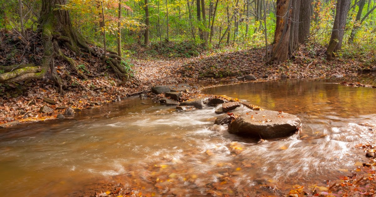 Hobbs Woods County Park Fond du Lac Where to go Wisconsin