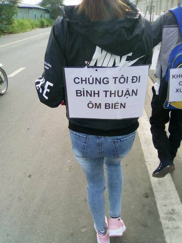Image result for cứu biển bình thuận