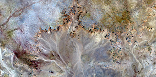 Stone plant fantasy,Abstract Naturalism,abstract photography deserts of Africa from the air,abstract surrealism,mirage in desert,fantasy forms and colors in the desert,plants,flowers, leaves,roots Stone plant fantasy,Abstract Naturalism,abstract photography deserts of Africa from the air,abstract surrealism,mirage in desert,fantasy forms and colors in the desert,plants,flowers, leaves,roots