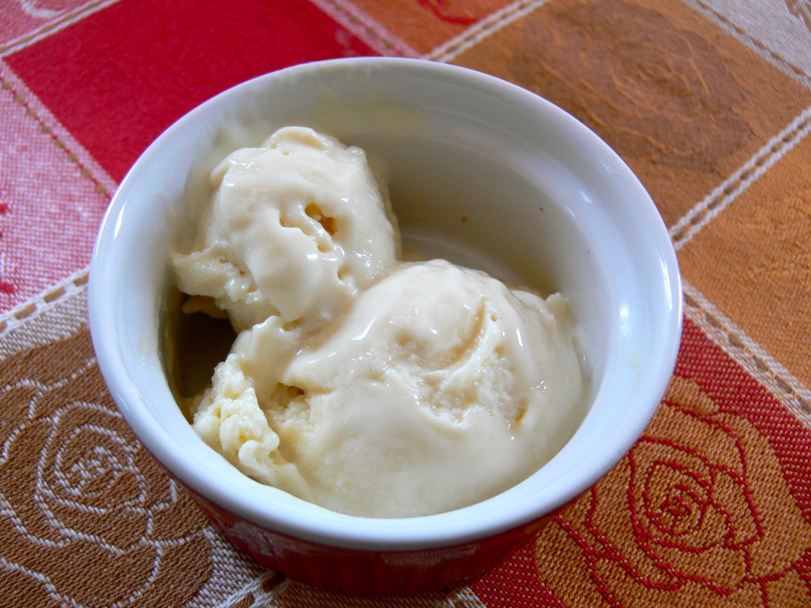 Vanilla Frozen Yogurt - The Zero Waste Family®