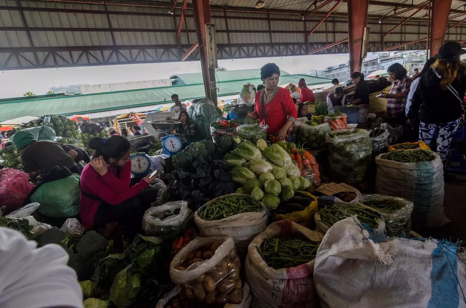 Vegetable Dealers Trading Post La Trinidad Benguet Cordillera Administrative Region Philippines