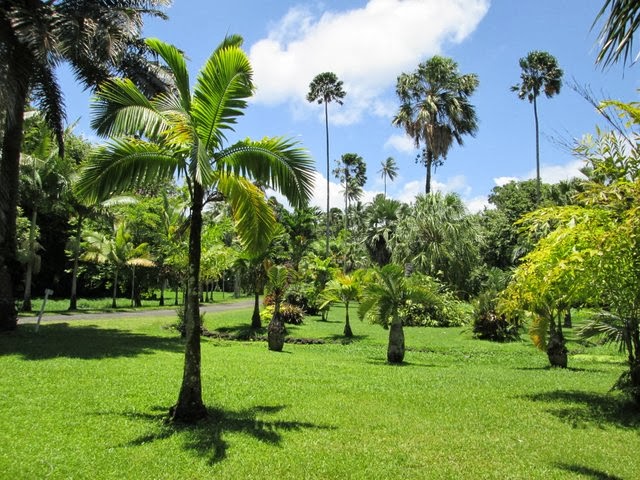 Jardin botanique de Papeari à Tahiti