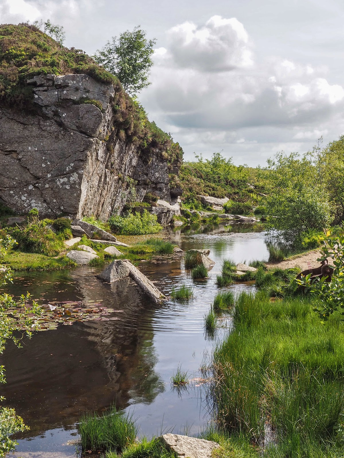 My Dartmoor Walks Wednesday 11th June Haytor