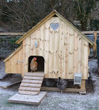 Our Henhouse and ALL things 'chicken' come from Flyte So Fancy.