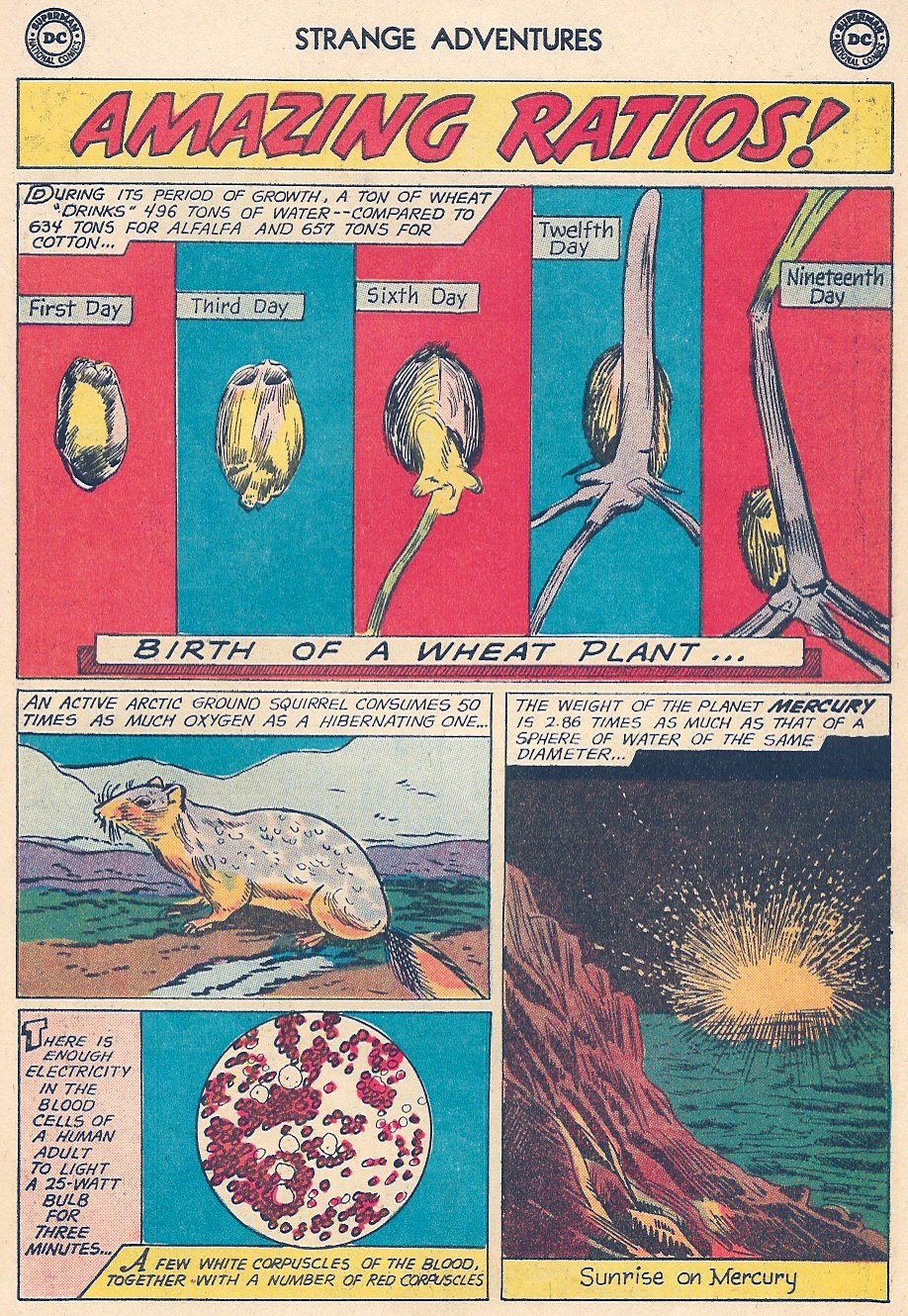Read online Strange Adventures (1950) comic -  Issue #117 - 23
