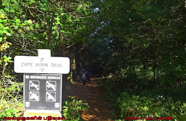 Washougal Cape Horn Trail Hike 