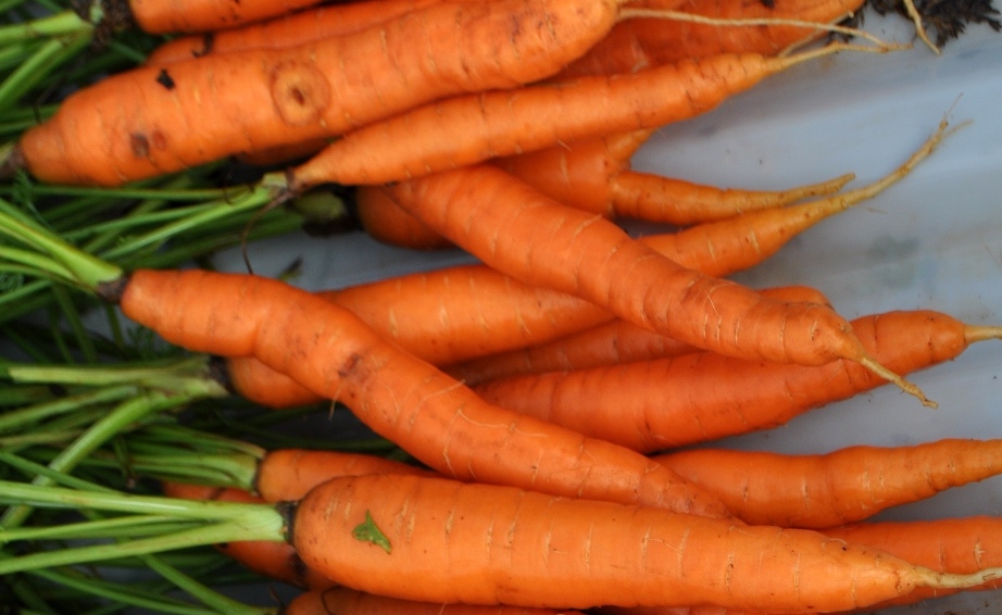 FOOD SCIENCE Carotenoid pigments in plant and vegetables