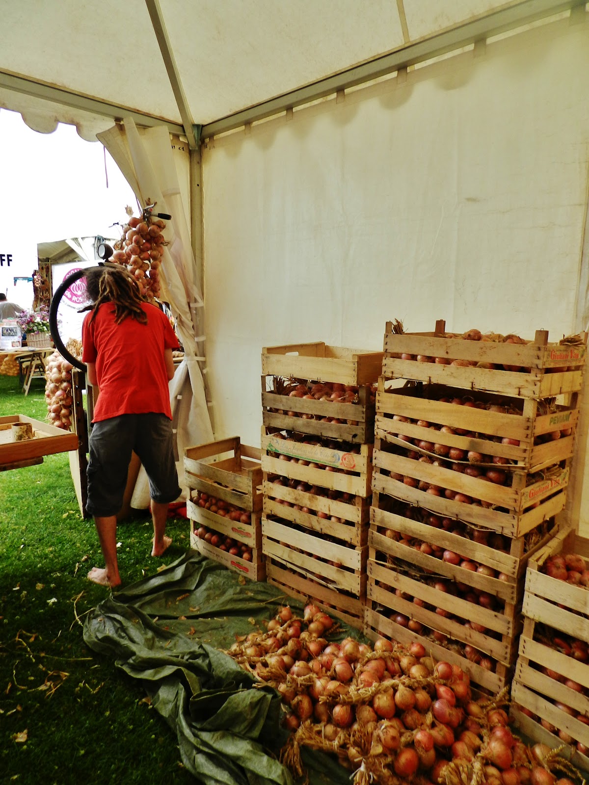 Looking for Johnny Onions Fête de l'Oignon Roscoff, 1819 August 2012