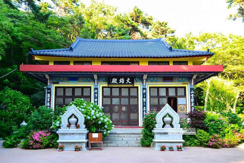韓國釜山|影島太宗台紫陽花慶典,太宗寺看繡球花 輕旅行
