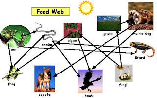 Learning in Cubas: NATURAL SCIENCE