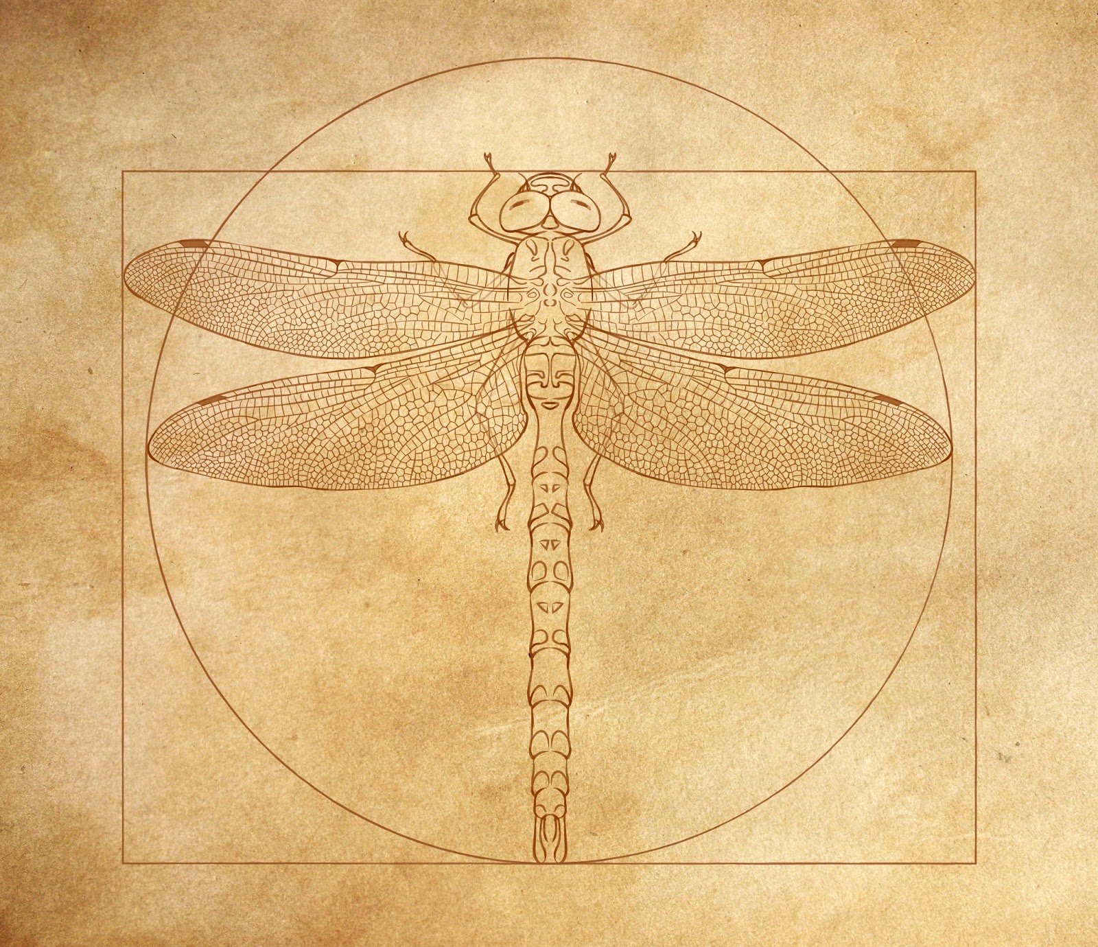 Эскиз тату витрувианский человек