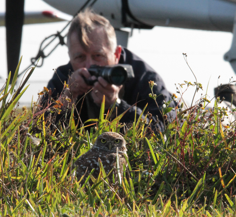 Wildlife Documentaries
