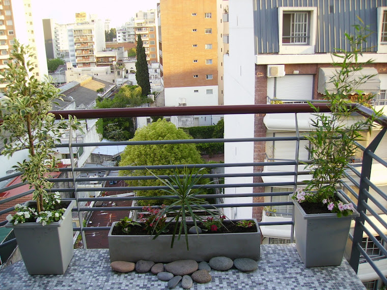 FERNANDO MINETTI (ARTISTA VISUAL): LACROXXE (espacio de arte reciclado)