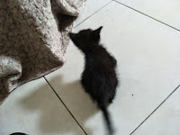 Blacky Blacky