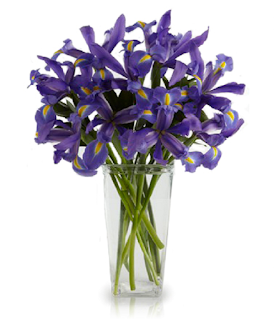 Blue Iris