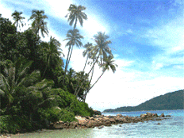 Objek Wisata Aceh Timur Super Lengkap | Nanggroe Aceh