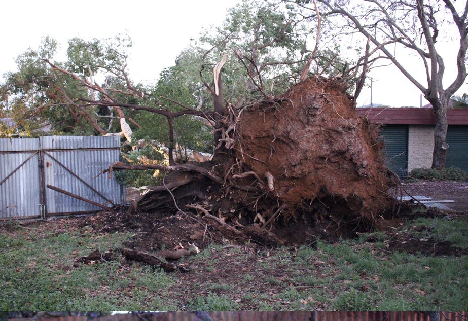Wild Weather Leaves Kurri Kurri Looking Like a War Zone 2NURFM
