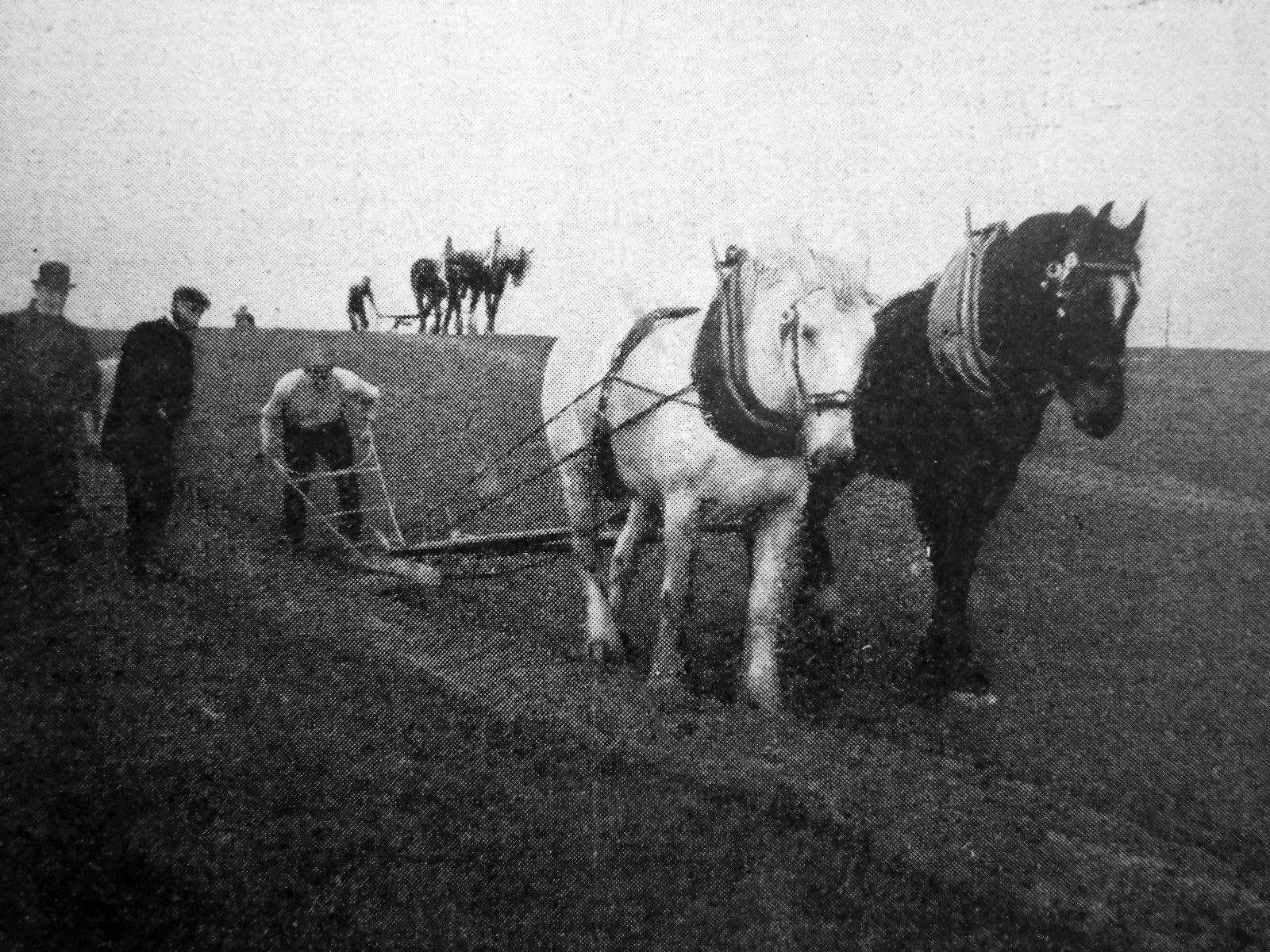 Tour Scotland: Old Photograph Horse Ploughing Competition Near ...