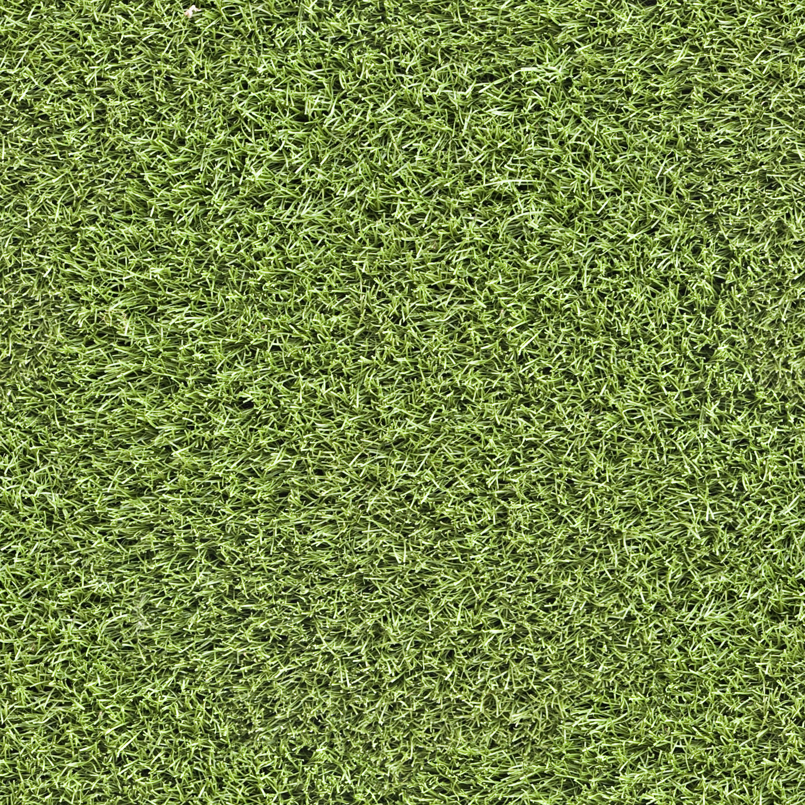 High Resolution Textures Seamless Green Grass Ground Texture 