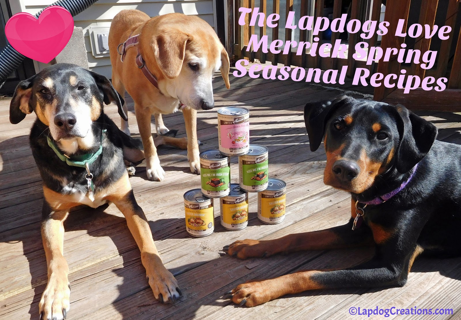 merrick easter brunch