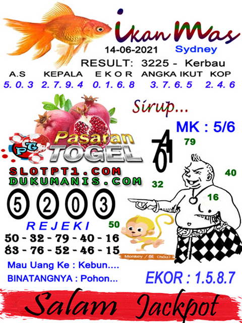 gambar togel sydney