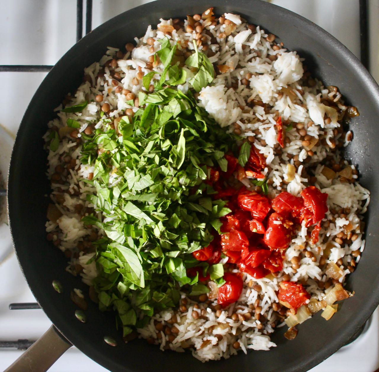 Green Gourmet Giraffe Lentil, tomato and rice dish
