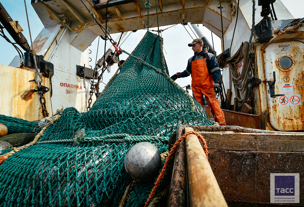 Минтай приморский край. Трал рыболовный. Японские рыбаки в море. Деревянный траловый рыболовный флот. Промысловый лов рыбы.