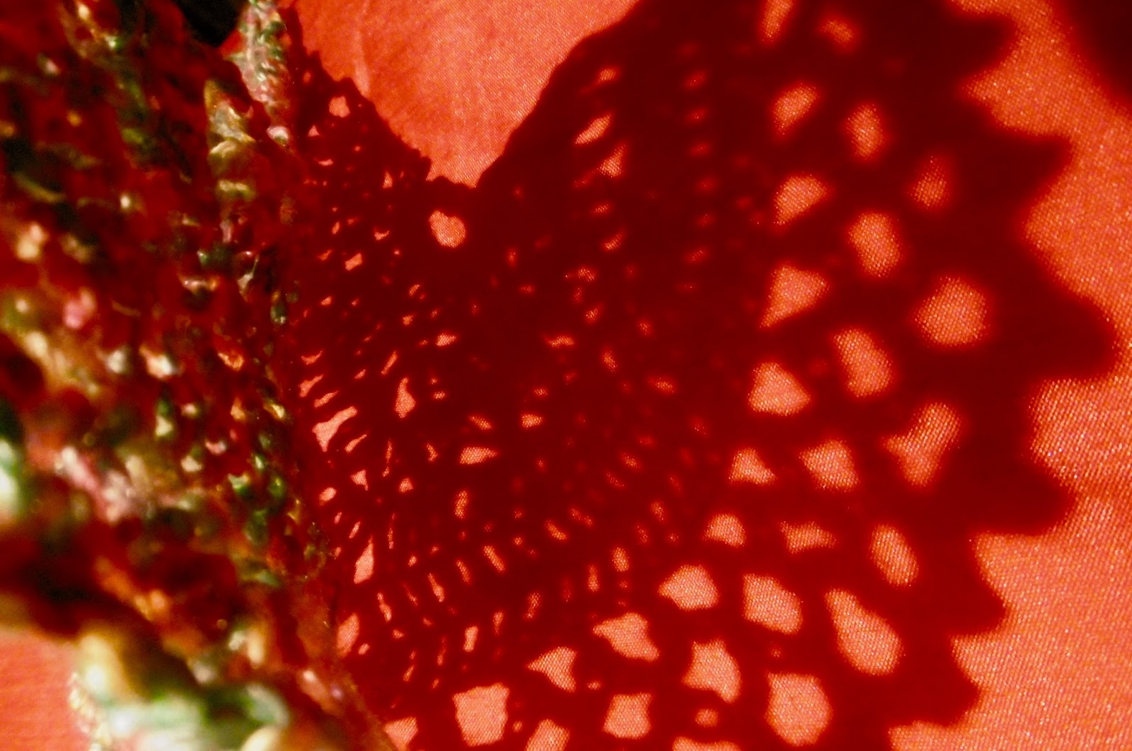 Susan Pinner: Angel Wings Shawl