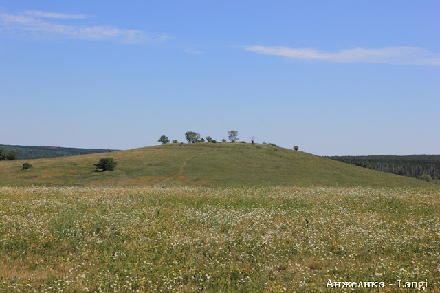 Бедная Лиза. Современный взгляд Бедная Лиза. Современный взгляд