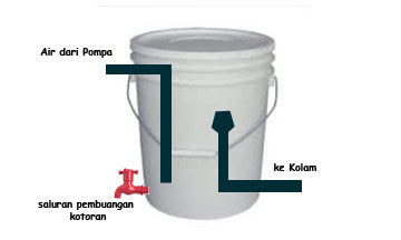 Cara Membuat Filter Kolam Ikan Dari Ember Archives Infoakuakultur Com