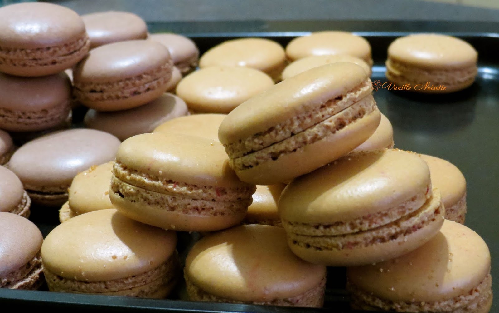 Vanille Noisette MACARON GANACHE MONTÉE CARAMEL BEURRE SALÉ