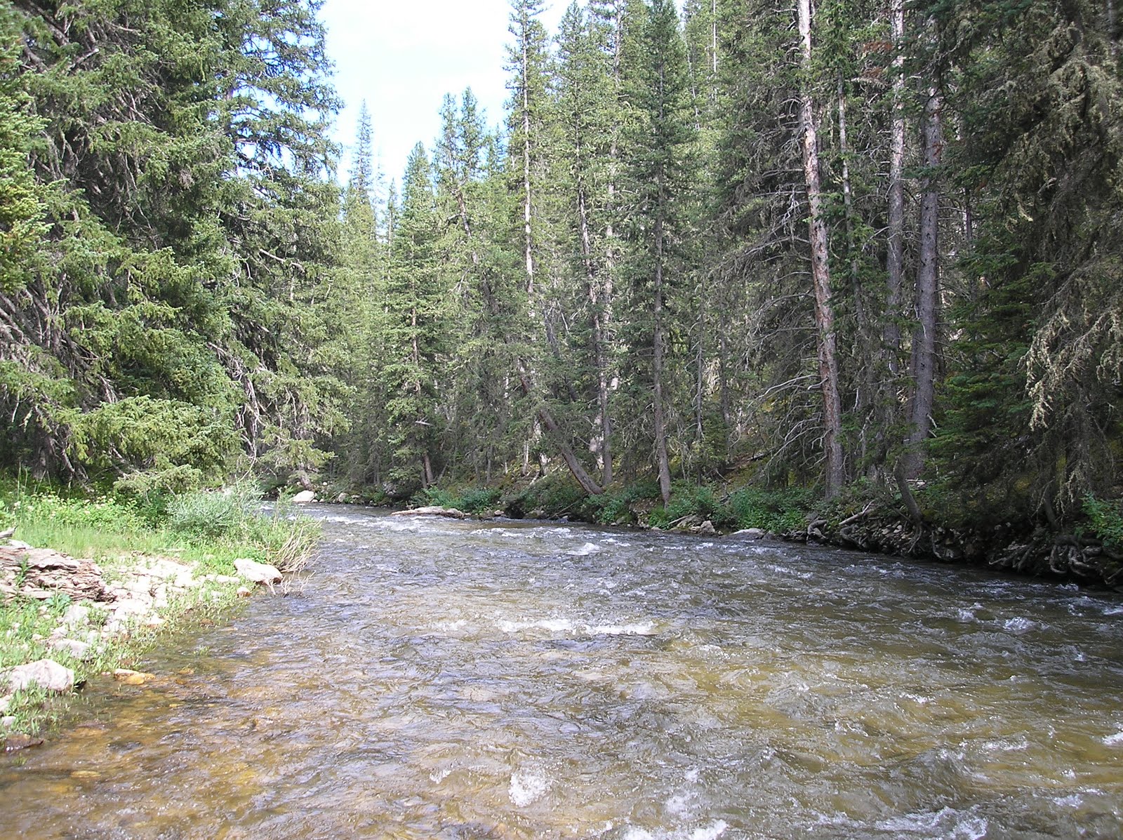 TRAINING WHEELS NOT INCLUDED TONGUE RIVER, WY