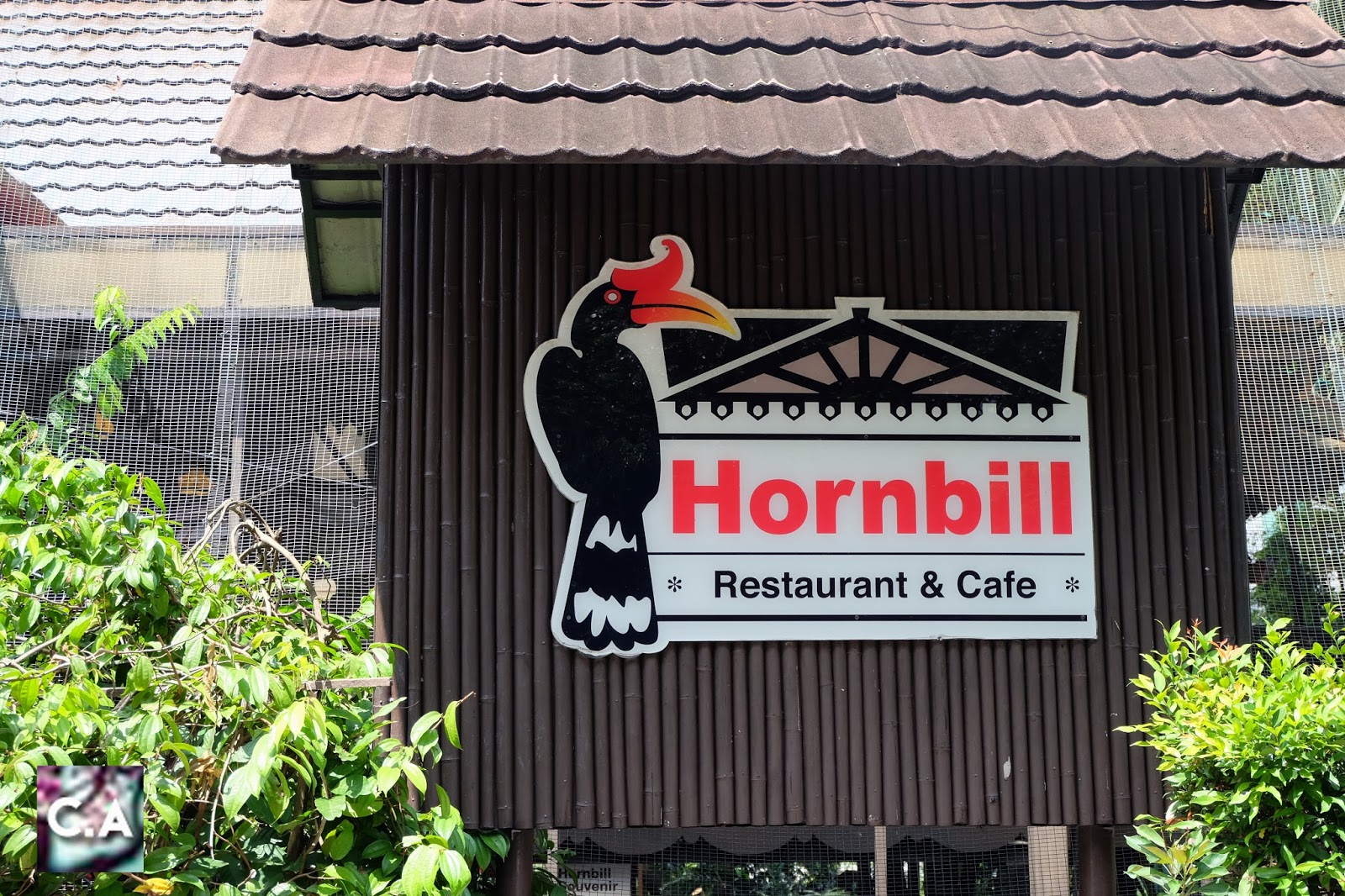 Dine With Beautiful Rare Birds at Hornbill Restaurant & Cafe, KL Bird