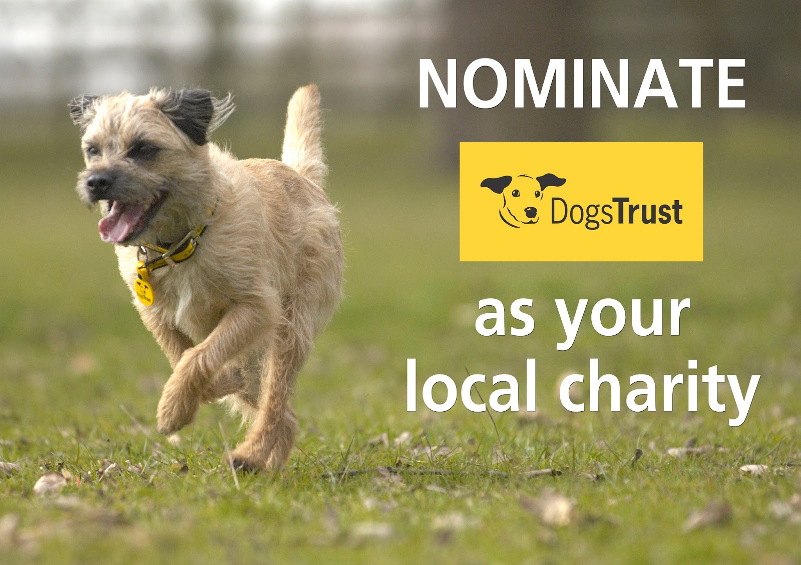 Dogs Trust Do you love Dogs Trust and live near a Sainsbury’s? If so
