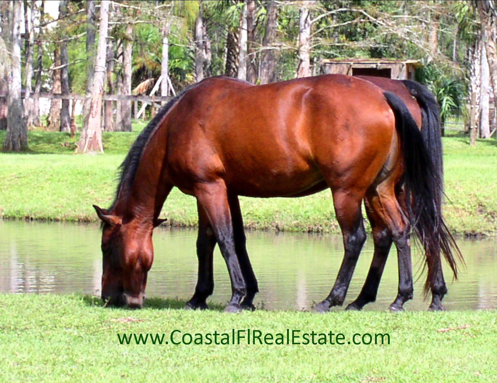 Jupiter Farms, homes and lifestyle Jupiter Farms Is it the right spot