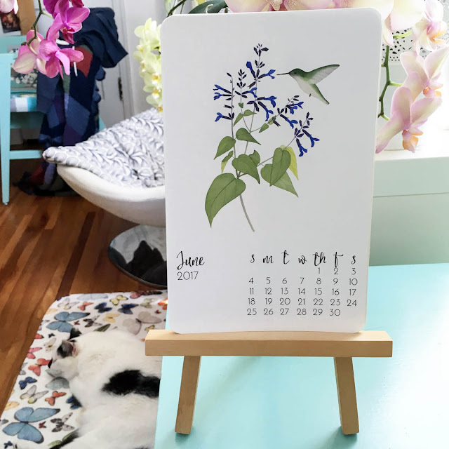 studio, artist studio, watercolor art print calendar, Anne Butera, My Giant Strawberry