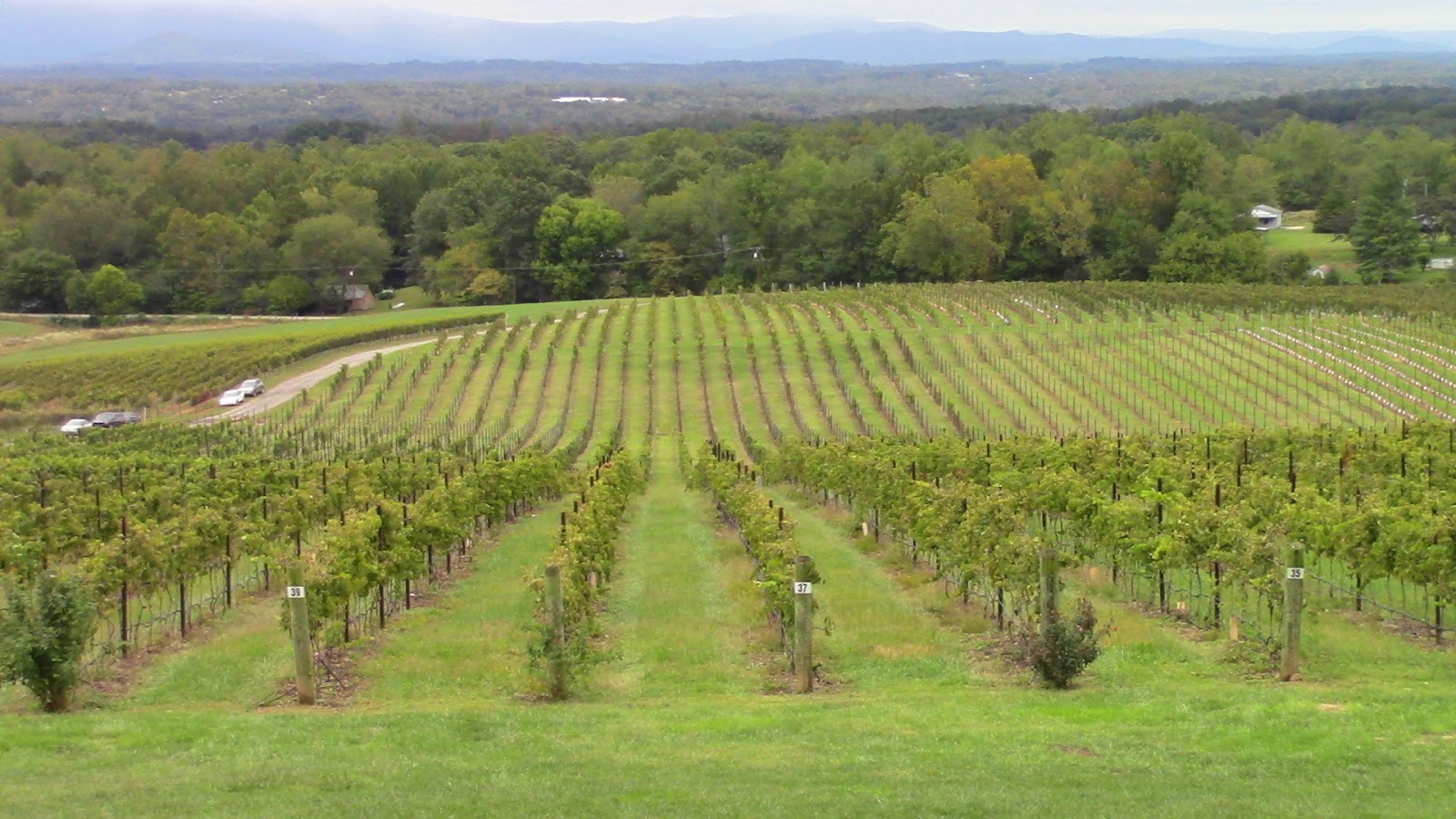 North Carolina Fine Wines Competition Introducing the North Carolina