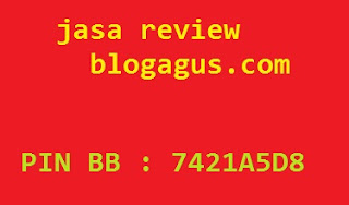 Jasa Review Toko Online, Website dan Bisnis Blogagus.com