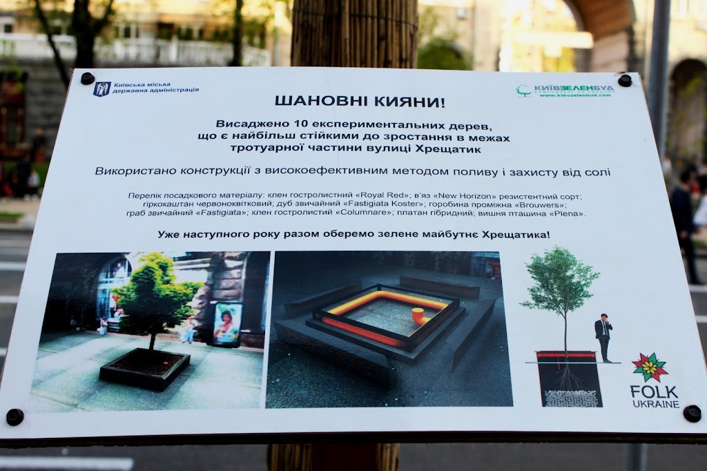 Описание экспериментальной посадки деревьев на Крещатике Описание экспериментальной посадки деревьев на Крещатике