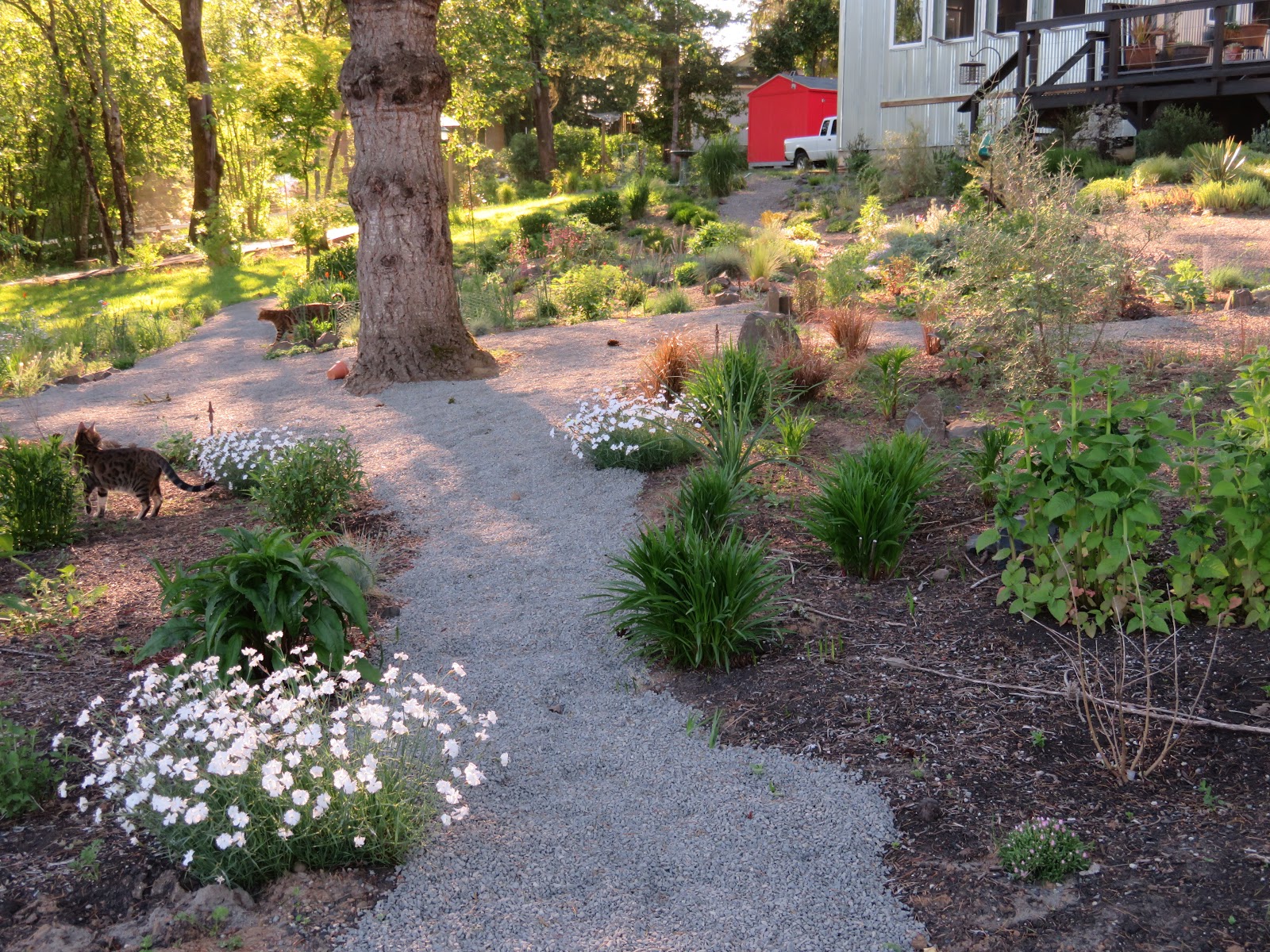 Great Color Contrasts Of The Green Velvet Boxwood Paired With The